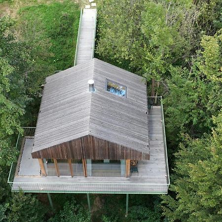 Апартаменты Baumhaus Buchengruen Dobl-Zwaring Экстерьер фото