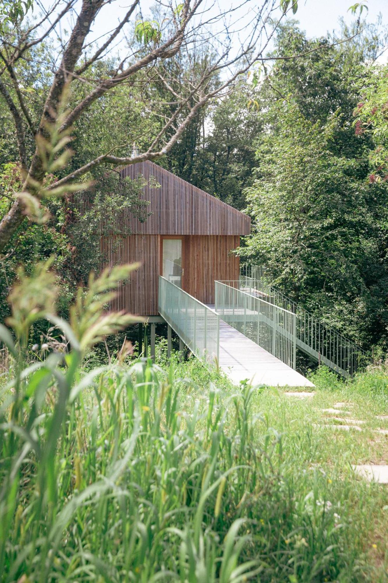Апартаменты Baumhaus Buchengruen Dobl-Zwaring Экстерьер фото